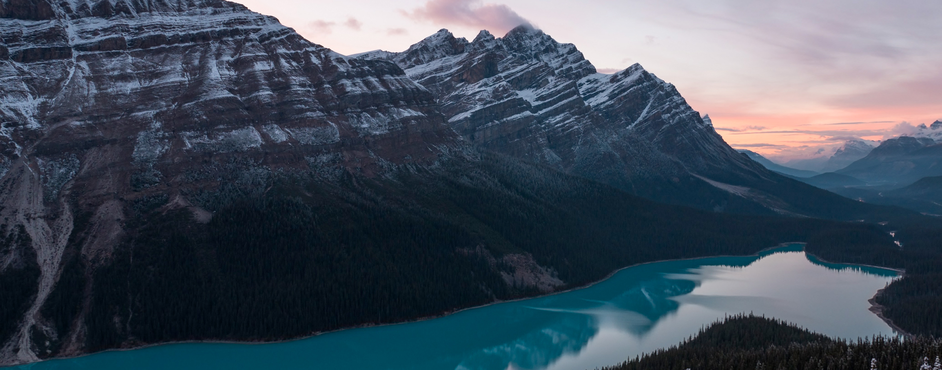 Elevate Your Life Daily